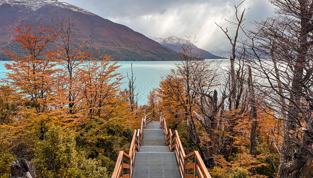 Glaciar Perito Moreno